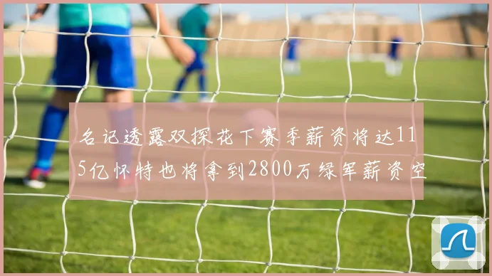 名记透露双探花下赛季薪资将达115亿怀特也将拿到2800万绿军薪资空间依旧紧张